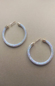 Rhinestone Hoop Earrings *More Colors Available - DSBella