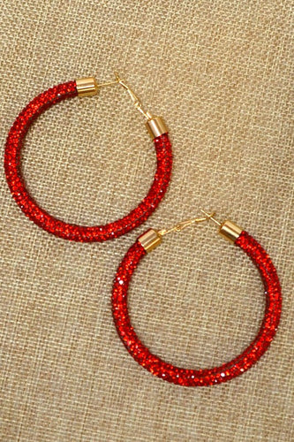 Rhinestone Hoop Earrings *More Colors Available - DSBella